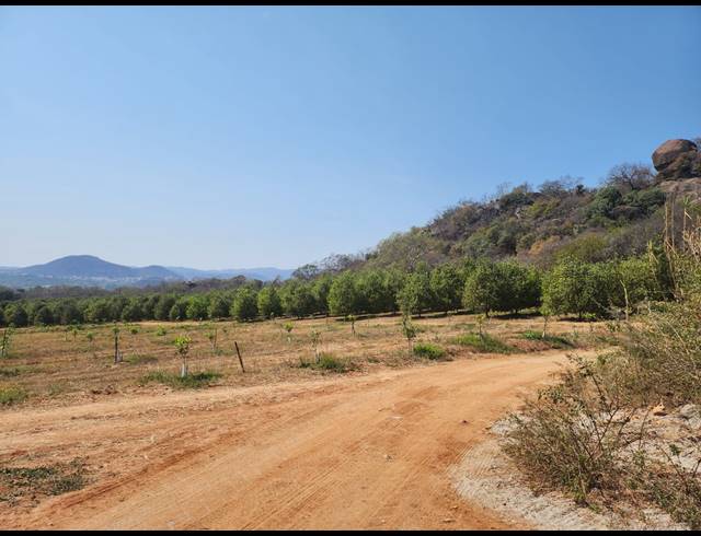 112HA FARM FOR SALE IN NELSPRUIT RURAL